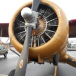 DSCN7309